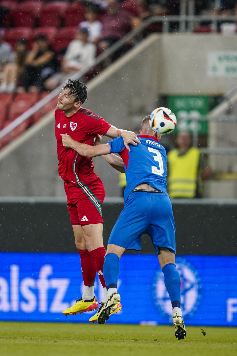 斯洛伐克与爱尔兰队争夺胜利 斯洛伐克与爱尔兰队争夺胜利