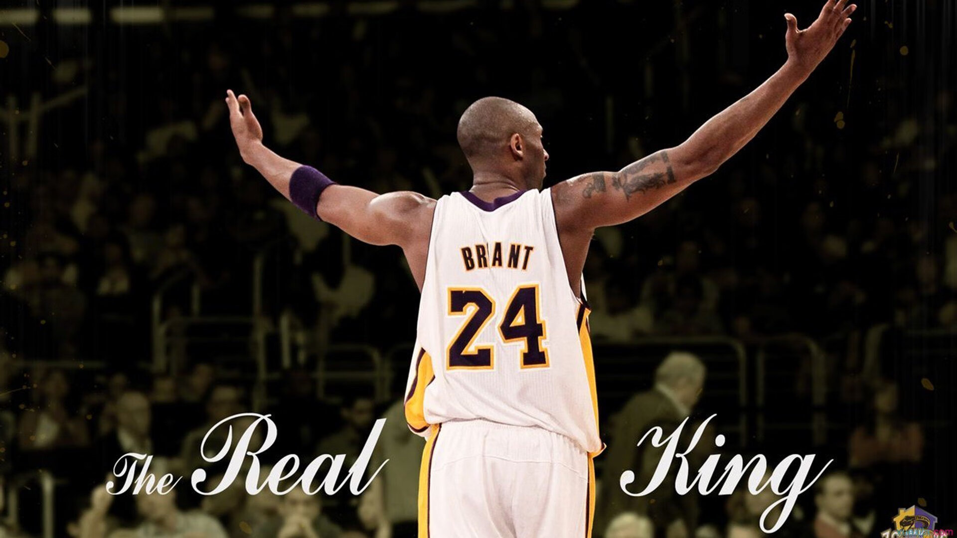 恩佐·费尔南德斯，当葡萄牙的星光黯淡时，他扛起了整个尼日利亚